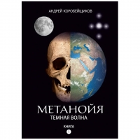 Метаноя Андрей Коробейщиков Книга 1