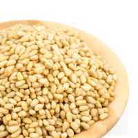 3 x Cedar nuts 500 g